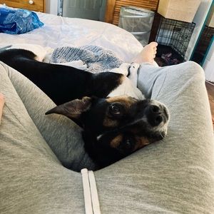 Meet your Posher, Elise